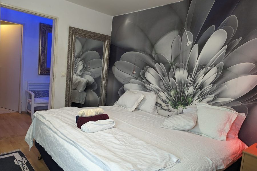 PHOTO-2025-02-04-19-36-48 2